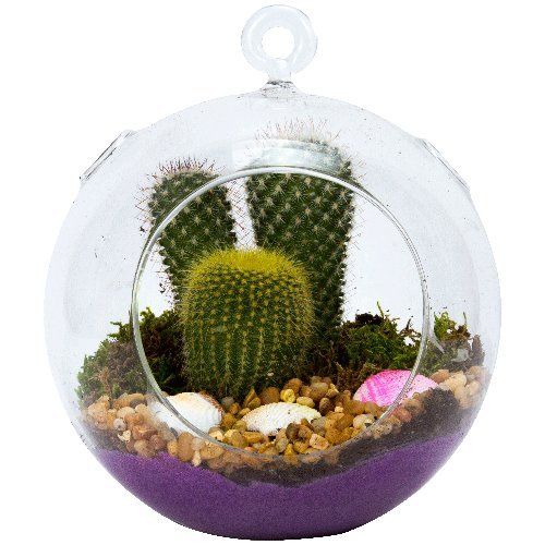 2 Pack Clear Plastic Terrarium Globes - Shatter-Proof DIY Plant Terrarium Kit for Home Decor, Mini Garden & Succulent Display - Perfect for Indoor Plants, Fairy Gardens, and Office Desk Decorations