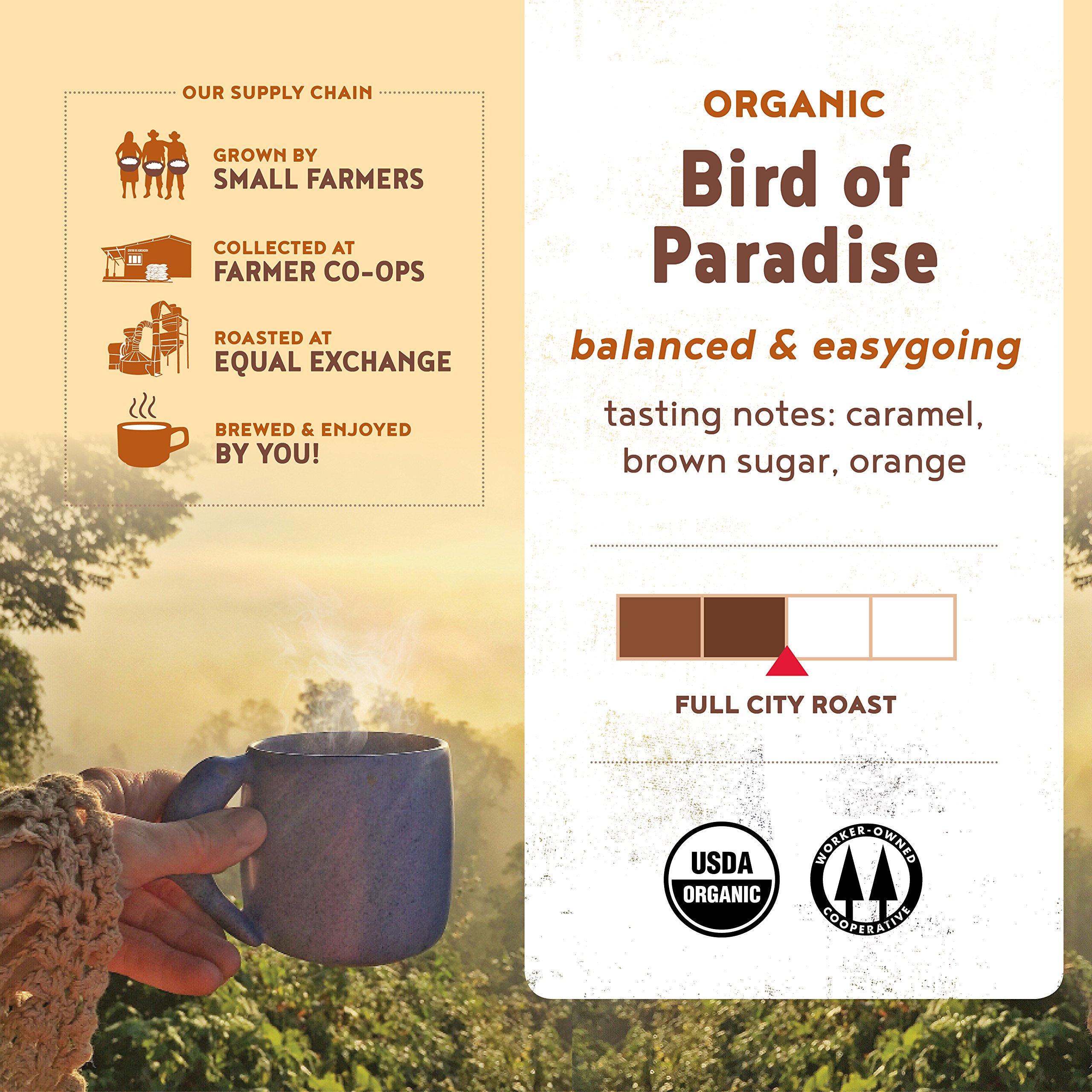 Equal Exchange Organic Bird of Paradise Coffee - 5lb Bulk Ground Coffee for Home Brewing, Office & Cafes | Fair Trade, Shade Grown Arabica Beans