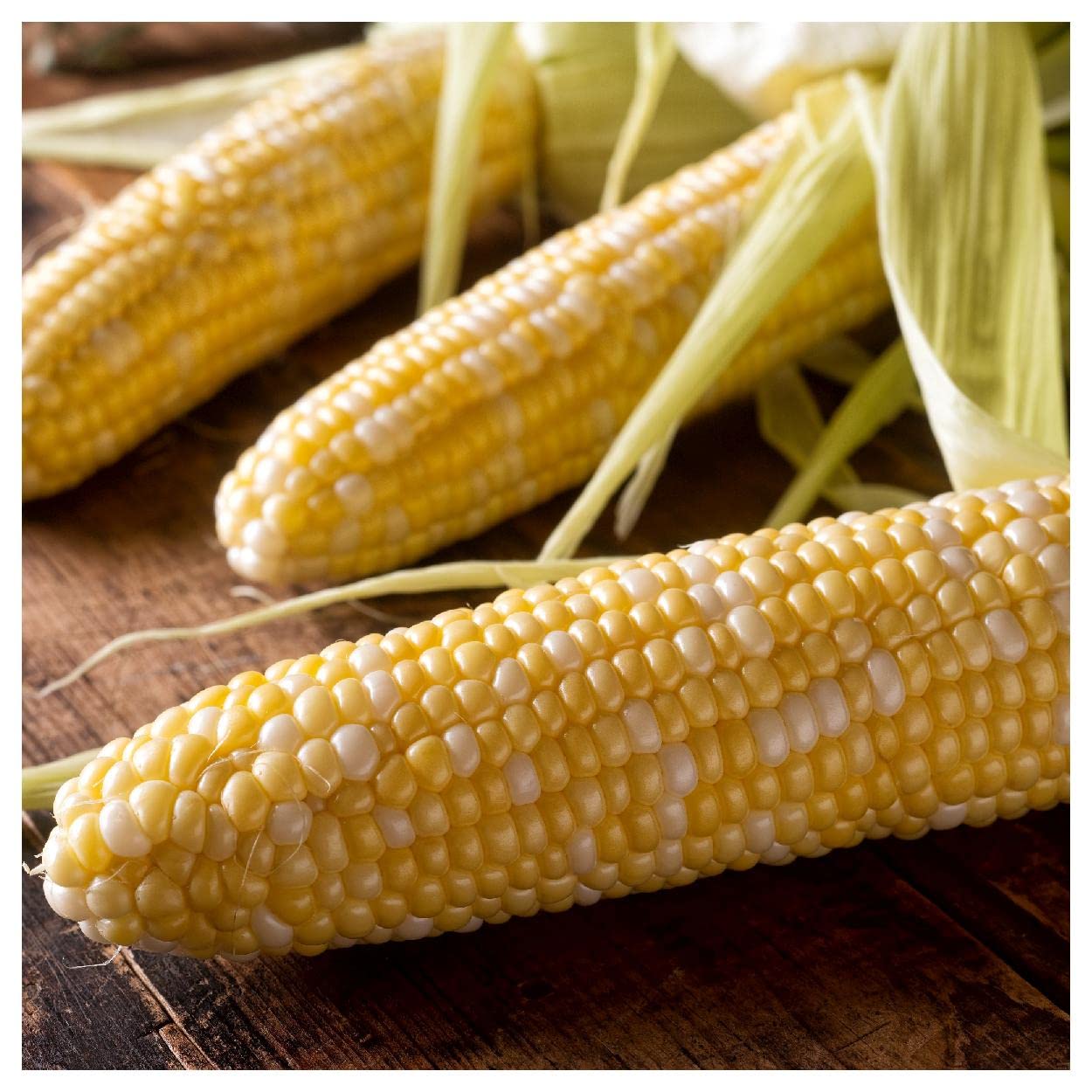 Everwilde Farms - 1 Oz Peaches & Cream Hybrid Sweet Corn Seeds - Non-GMO, High Yield - Gold Vault Bulk Pack - Perfect for Home Gardens, Backyard Farming & Fresh Sweet Corn Harvests