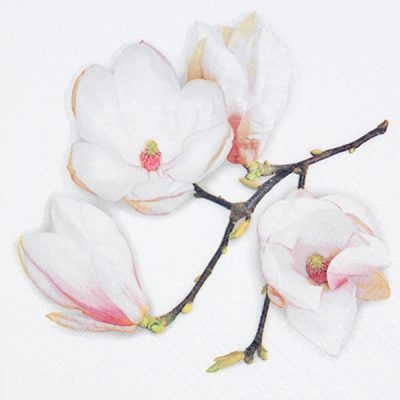 Premium White Magnolia Floral Lunch Napkins - 20 Pack | Elegant Disposable Napkins for Parties, Weddings, and Home Dining | Soft & Absorbent Paper Napkins for Everyday Use