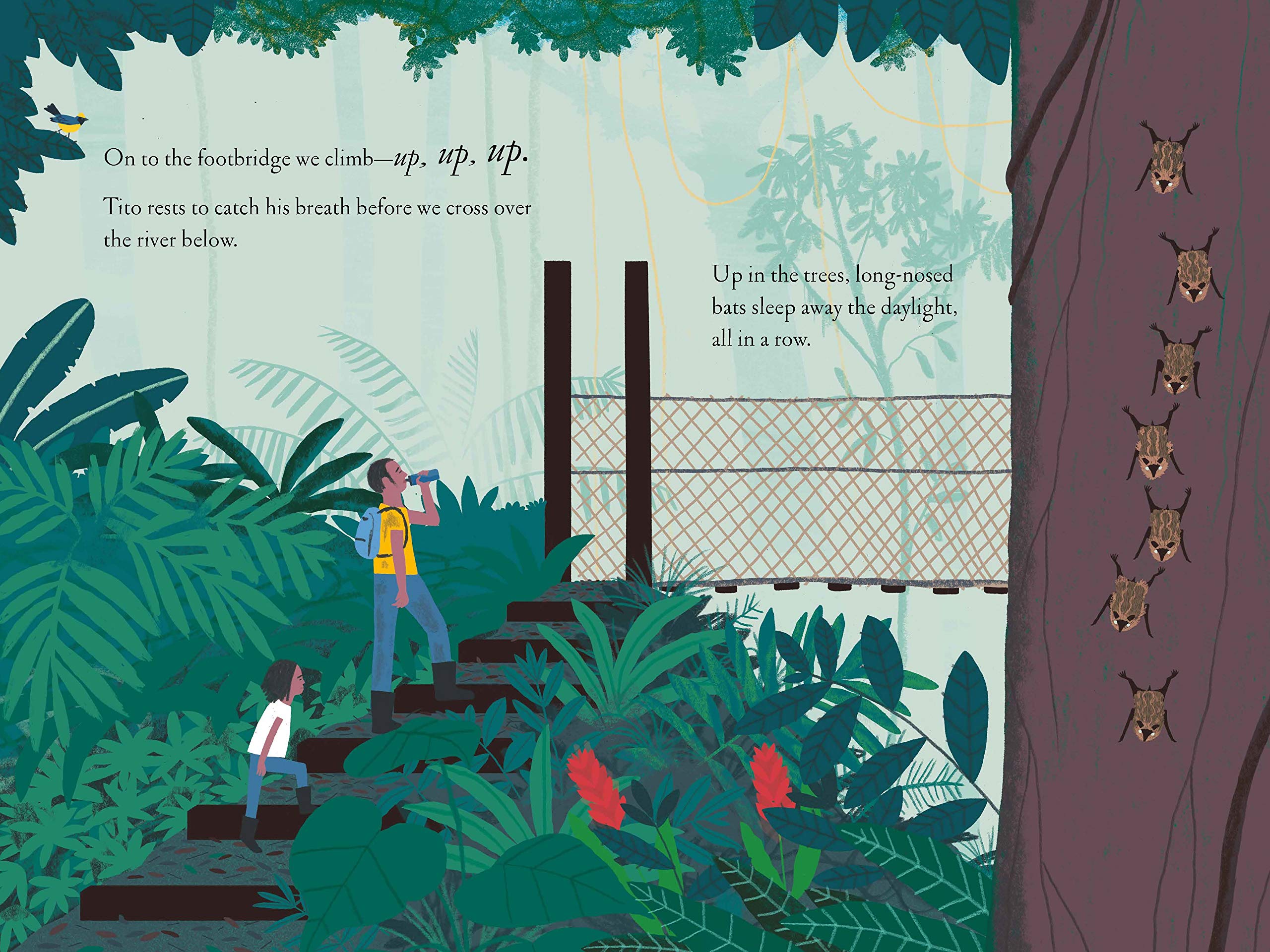 Over and Under the Rainforest - Kids Educational Book About Jungle Animals & Ecosystems | Perfect for Classroom Learning & Nature Exploration