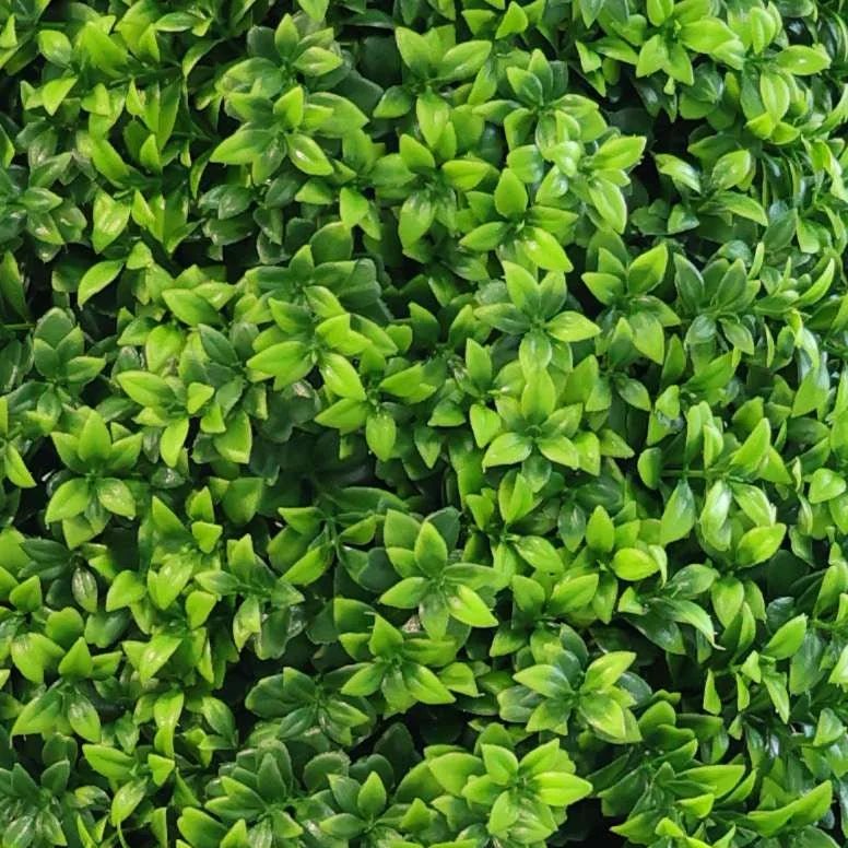 Premium Artificial Buxus Tree - 47