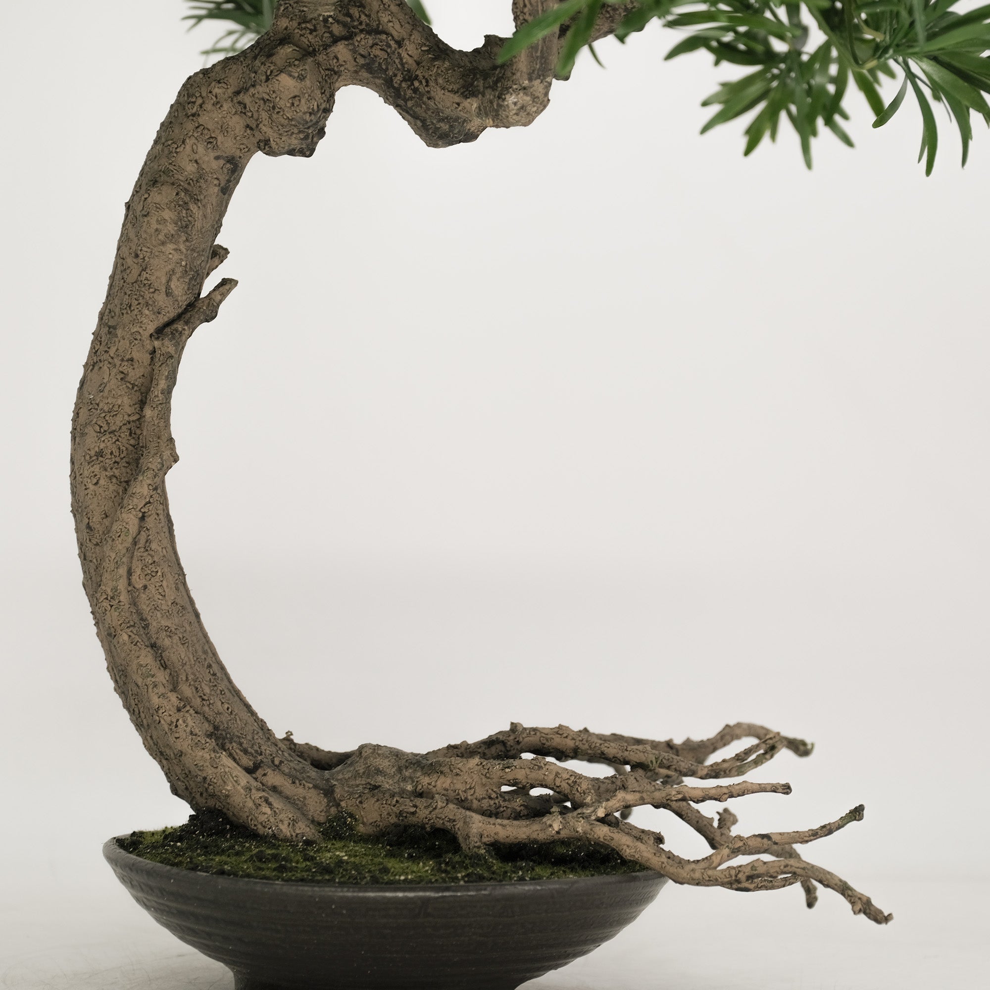 Premium Artificial Buddhist Pine Bonsai Tree - 21.6