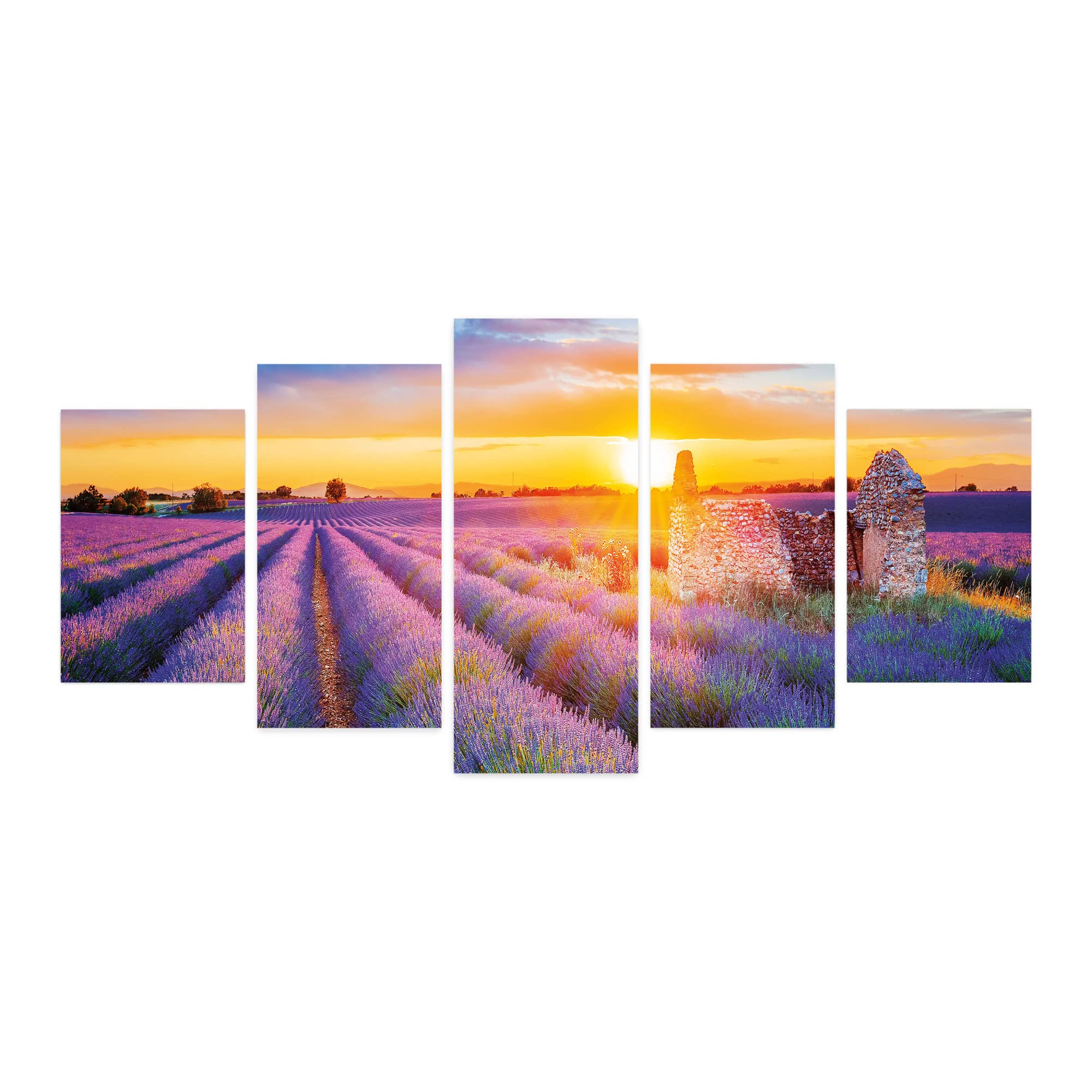 Ambesonne 5-Panel Acrylic Glass Wall Art - Lavender Field Sunset in Valensole France, Purple & Pale Fuchsia Landscape (60