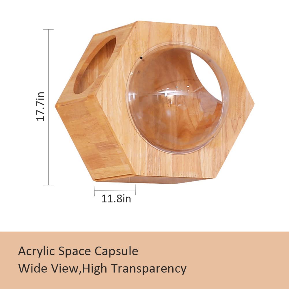 Hexagon Wall Mounted Cat Bed - Floating Wooden Cat Shelf & Perch for Climbing, Lounging & Play - Modern Cat Activity Tree, Shelter & Condo for Indoor Cats - Perfect for Small Spaces & Cat Enrichment