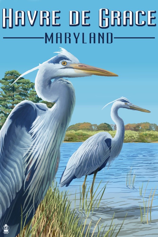 Blue Herons Wall Art Poster - 12x18 Inches Maryland Havre De Grace Wildlife Decor - Perfect for Living Room, Bedroom & Office Decoration
