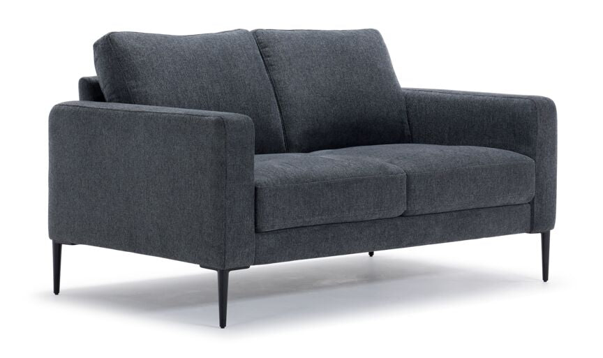 Premium Alden Loveseat in Charcoal – Stylish & Comfortable Sofa for Living Room, Lounge, or Office