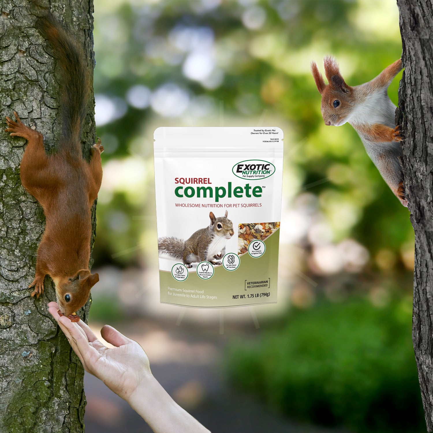 Premium Squirrel Food Mix - Complete Nutrition for Wild & Pet Squirrels - High Protein, Vitamins & Minerals - Ideal for Backyard Feeding, Wildlife Attraction & Pet Care