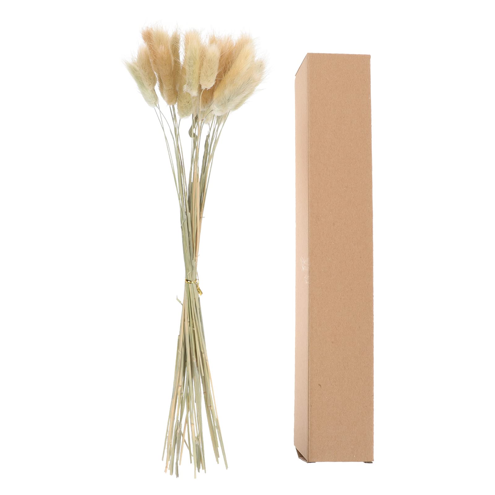 30pcs Realistic Dried Rabbit Tail Grass - Artificial Plants for Home Decor, DIY Floral Arrangements, Wedding Centerpieces & Bouquets - Faux Botanicals for Vase Fillers, Crafts, Farmhouse & Boho Decor - Perfect for Living Room, Bedroom, Office & Events - Great for Rustic Weddings, Table Settings & Seasonal Displays - Ideal for Fall Decor, Thanksgiving Centerpieces & Christmas Wreaths