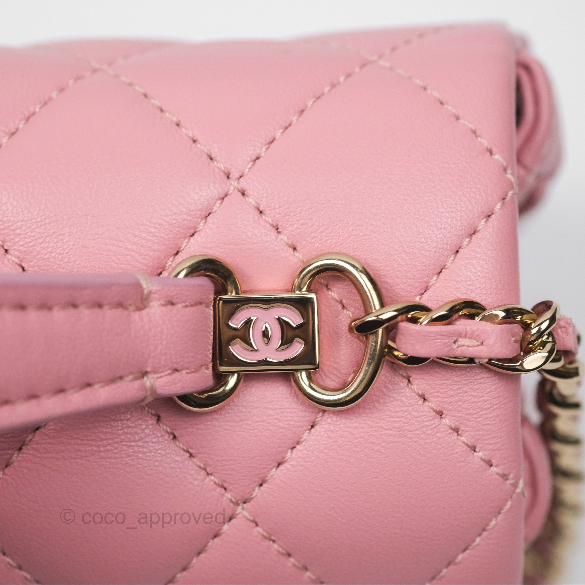 Chanel Citizen Chic Flap Bag in Pink Lambskin Leather with Gold Hardware - Luxury Crossbody Purse for Women, Perfect for Date Night & Special Occasions