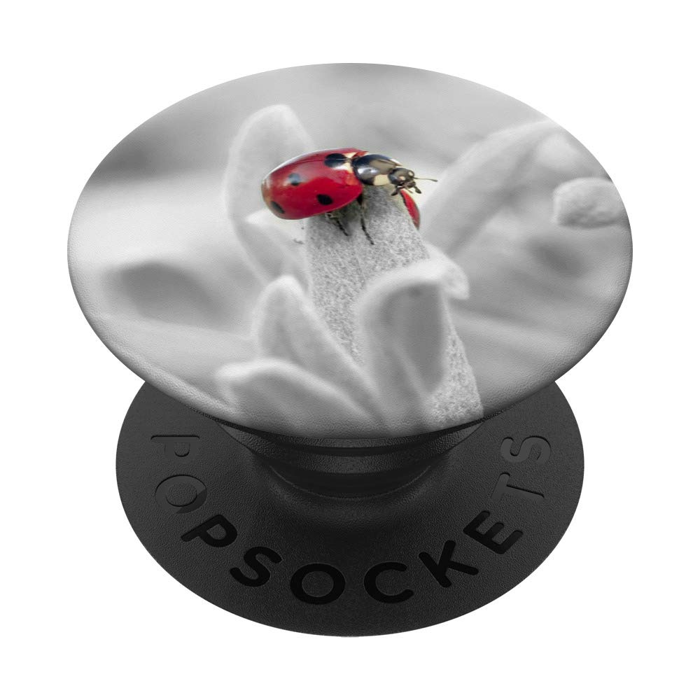Ladybug Red Ladybird Beetle Phone Grip - Swappable PopSocket for iPhone, Samsung & Tablets - Perfect Gift for Nature Lovers & Phone Accessories