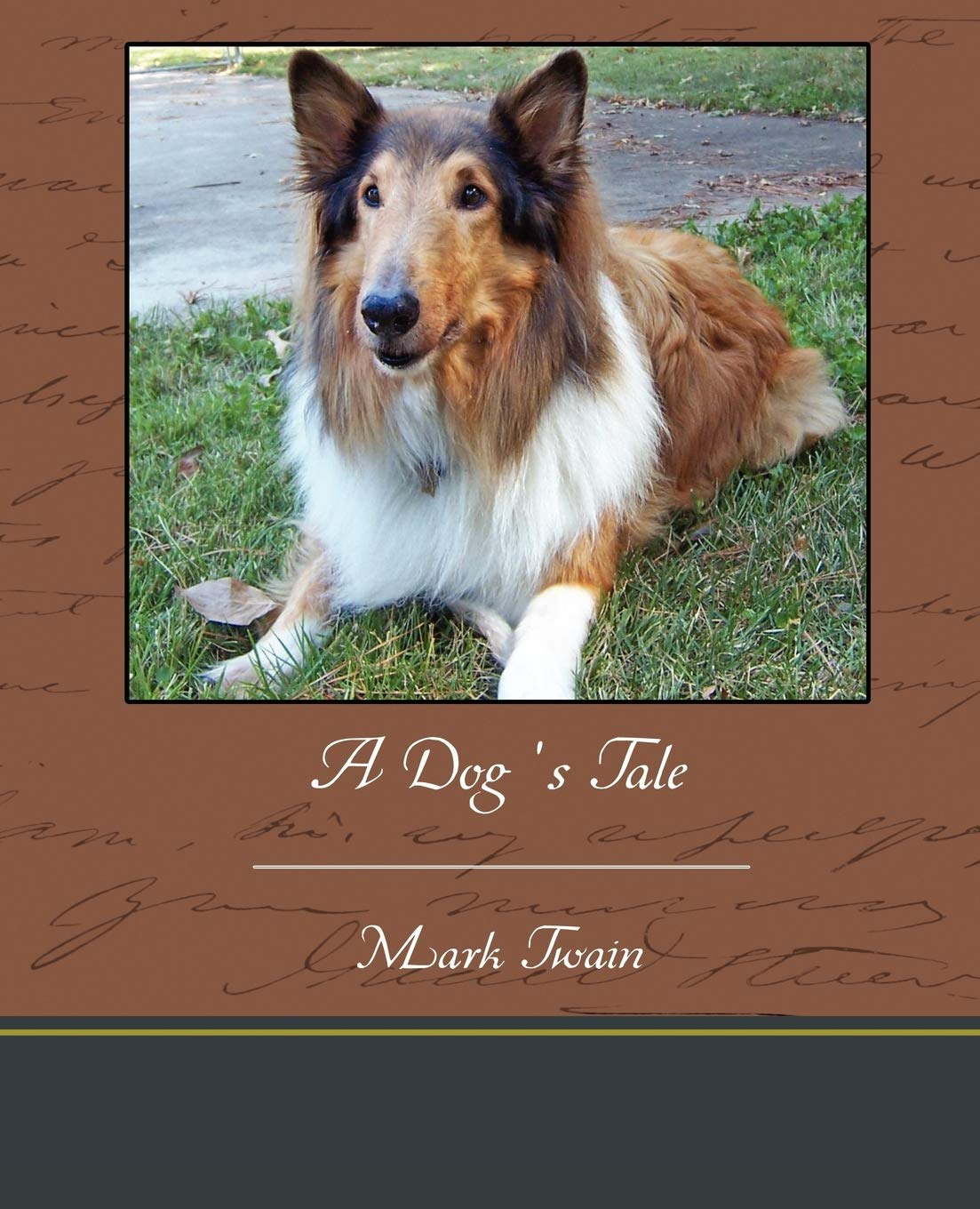 A Dog's Tale - Heartwarming Storybook for Kids | Perfect for Bedtime Reading & Family Bonding
