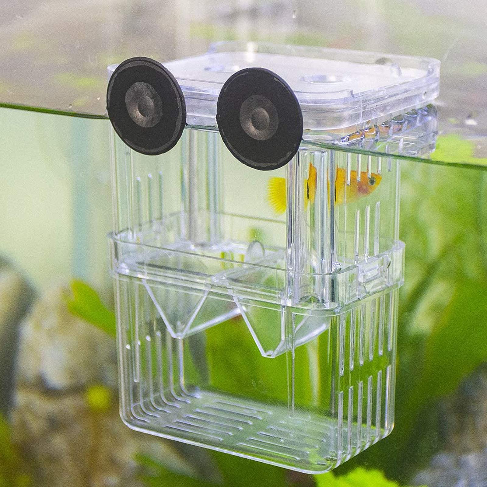Plastic Aquarium Fish Breeder Box - Isolation Breeding & Hatching Incubator for Baby Fish, Shrimp, Clownfish, Guppy (Small) | Perfect for Home Aquariums, Fish Farms & Breeding Tanks