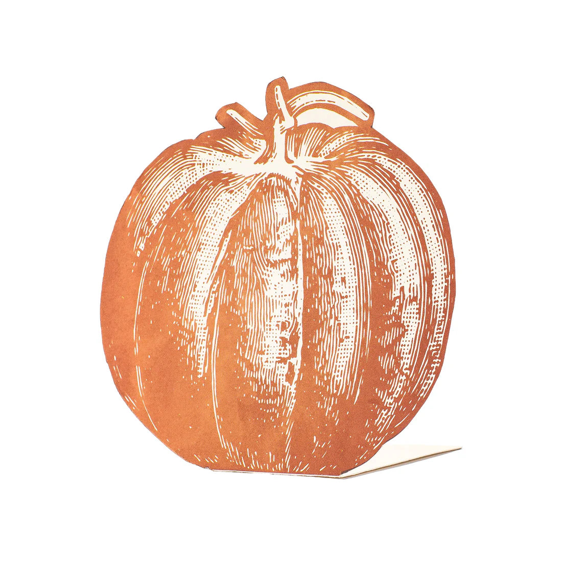 12-Pack Pumpkin Place Cards for Thanksgiving & Fall Table Decor - Elegant Name Cards for Wedding, Party, and Holiday Dinner Settings
