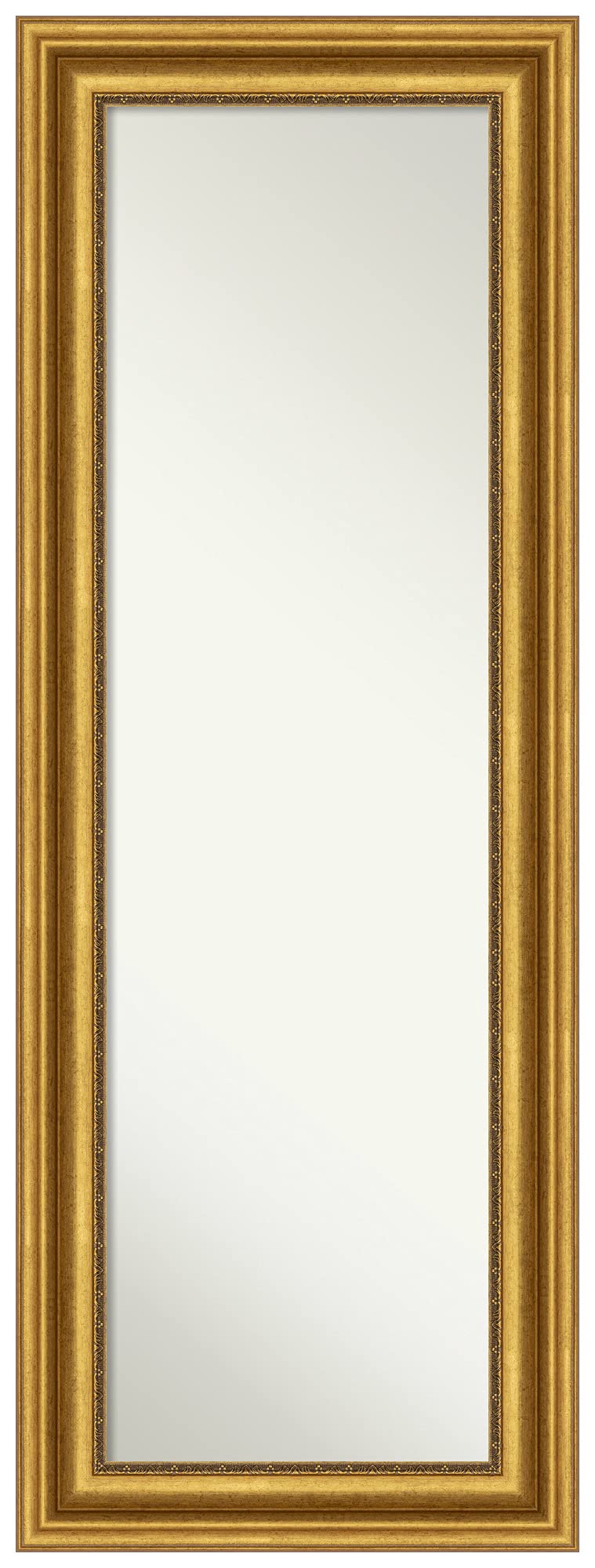 Amanti Art 54x20 Inch Gold Full Length Mirror - Traditional Framed Wall Mirror for Doors & Closets with Hidden Brackets | Elegant Bedroom Decor, Parlor & Dressing Room Essential | Made in USA