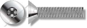 20-Pack #10-24 x 1/4