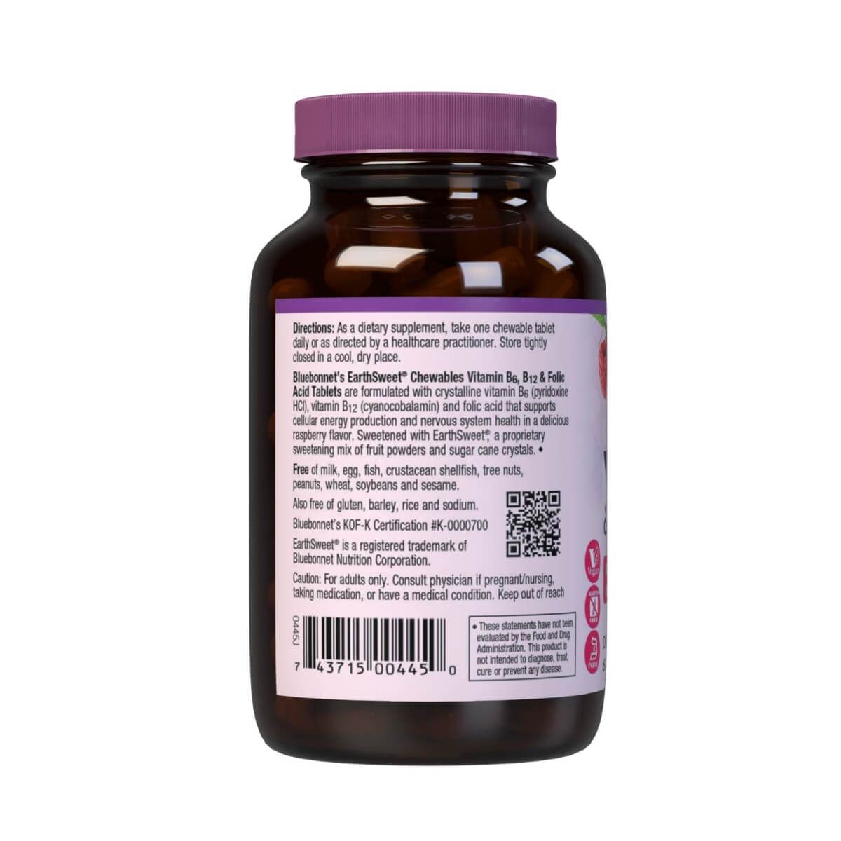 Bluebonnet Earthsweet Chewable Vitamins B6 B12 & Folic Acid Supplement - 60 Raspberry Flavored Tablets for Energy, Metabolism & Nervous System Support - Perfect for Adults & Kids On-The-Go