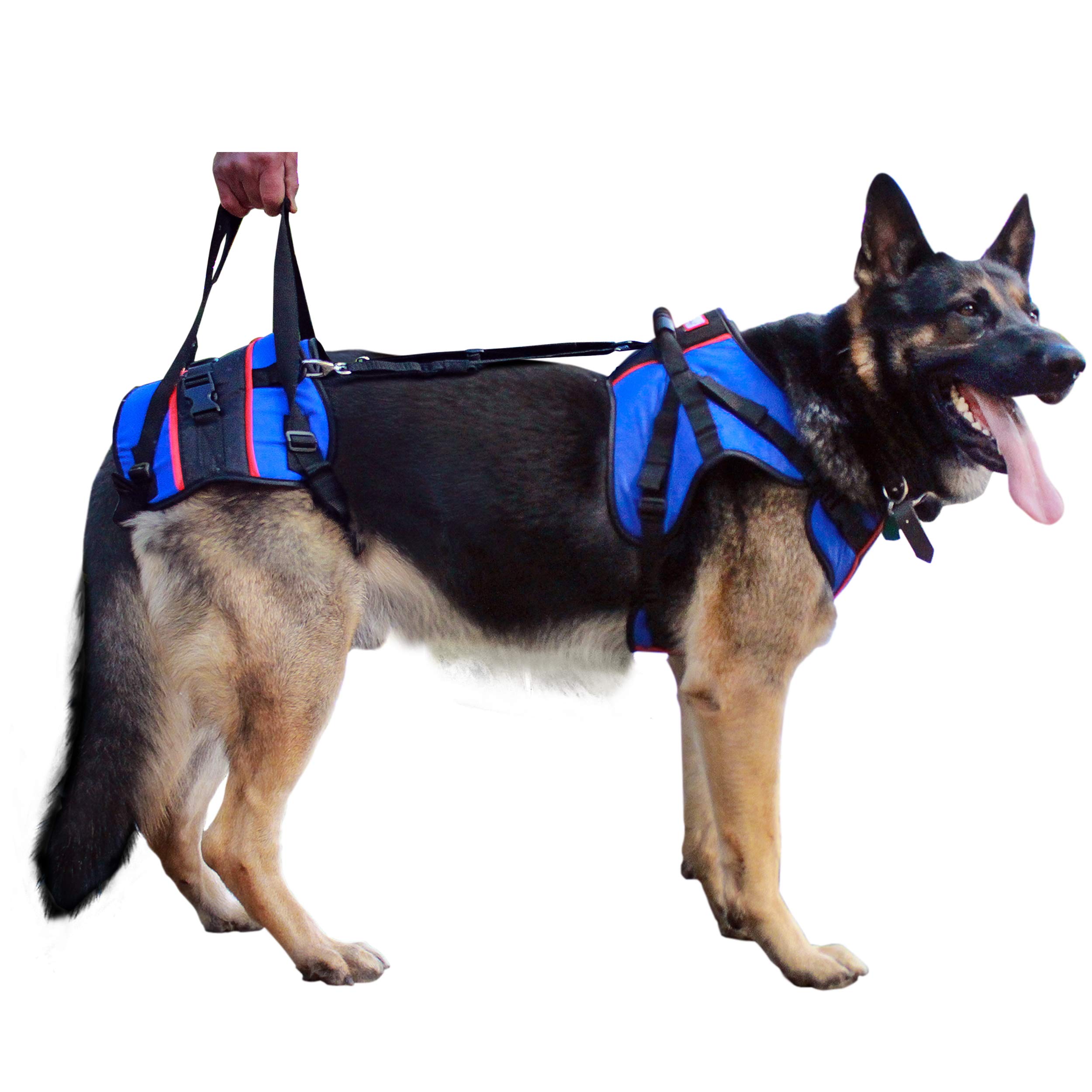 **Best Full Support Dog Harness for Large Dogs 70+ lbs – Lift Assist Harness for Senior Dogs, Arthritis & Post-Surgery Recovery – Ideal for Walking, Hiking & Mobility Assistance**