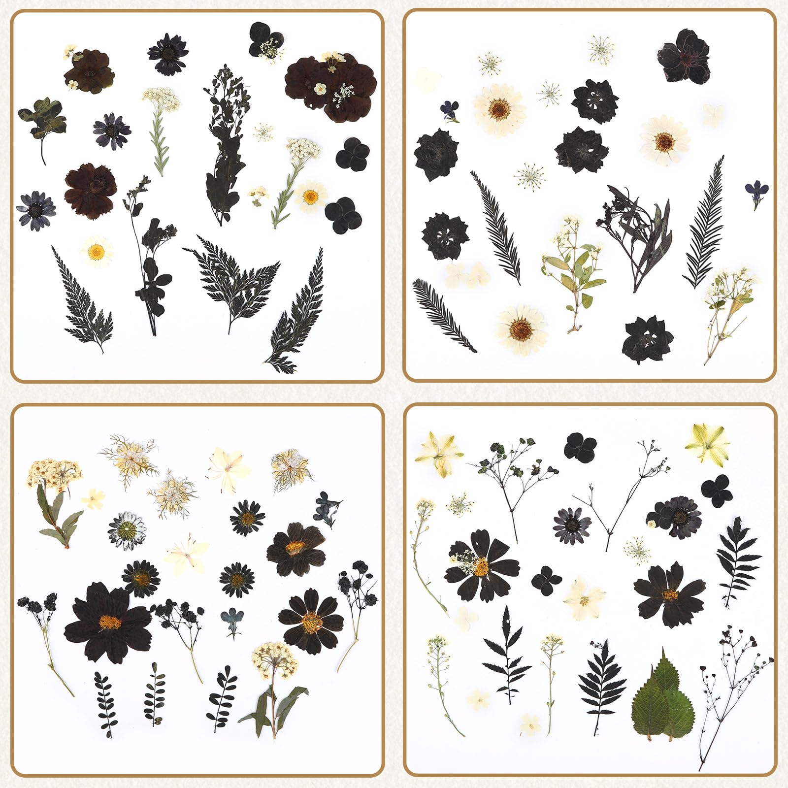 120 Pcs Black Dried Pressed Flowers for Resin Molds - Real Pressed Flowers for DIY Crafts, Jewelry Making, Scrapbooking, Candle & Soap Making - Perfect for Halloween Decorations & Home Craft Projects