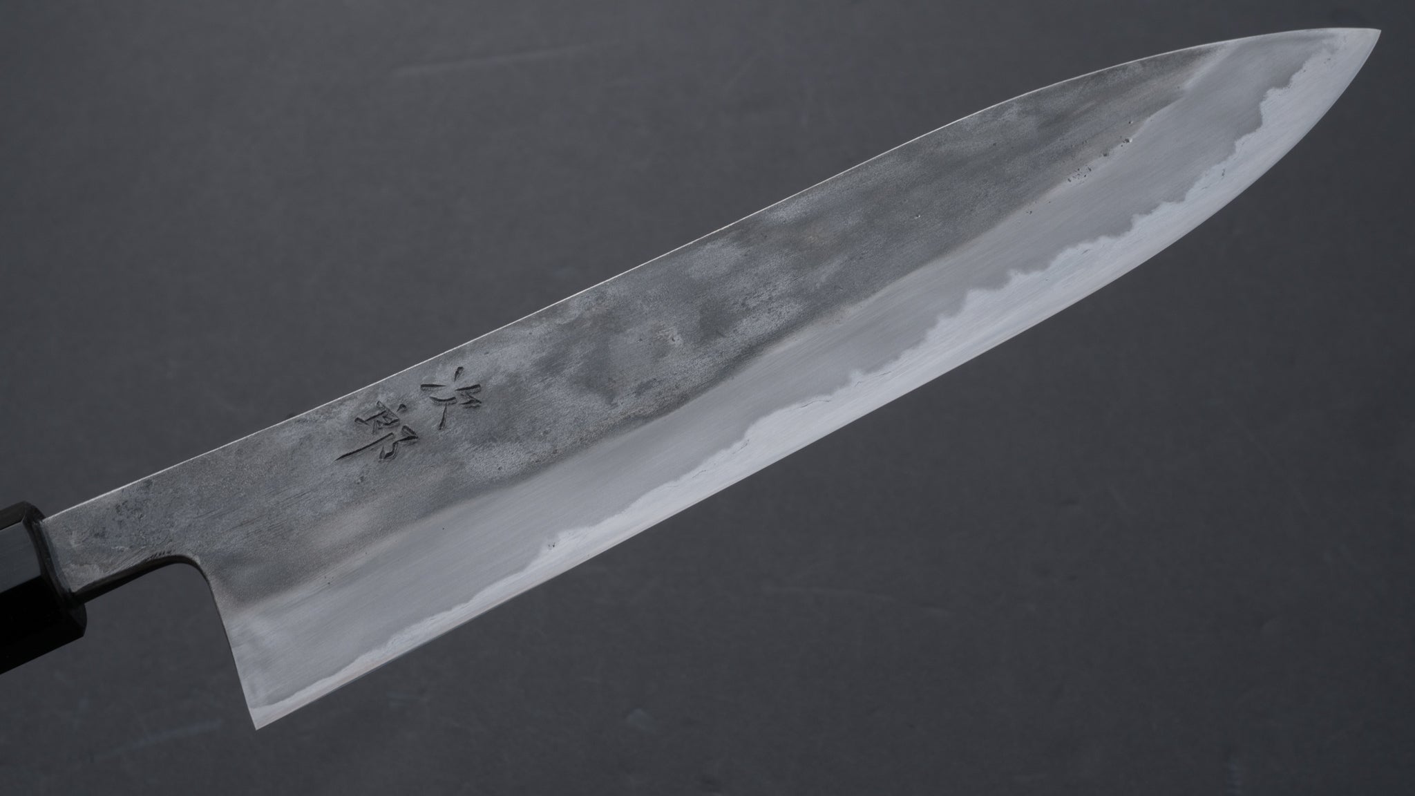 Premium Jiro Tsuchime Wa Gyuto 240mm Japanese Chef Knife with Taihei Tagayasan Handle - Perfect for Sushi, Meat Slicing & Professional Kitchen Use