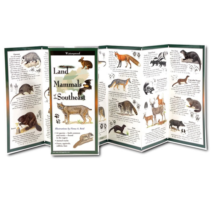 Southeast US Land Mammals Identification Guide - Folding Pocket Chart for Hiking, Camping & Wildlife Observation