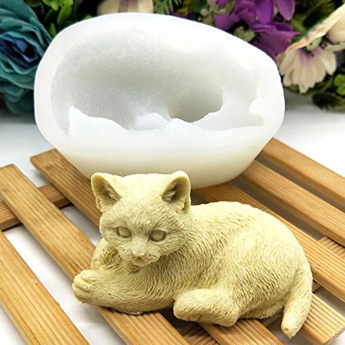 soap-cat-face