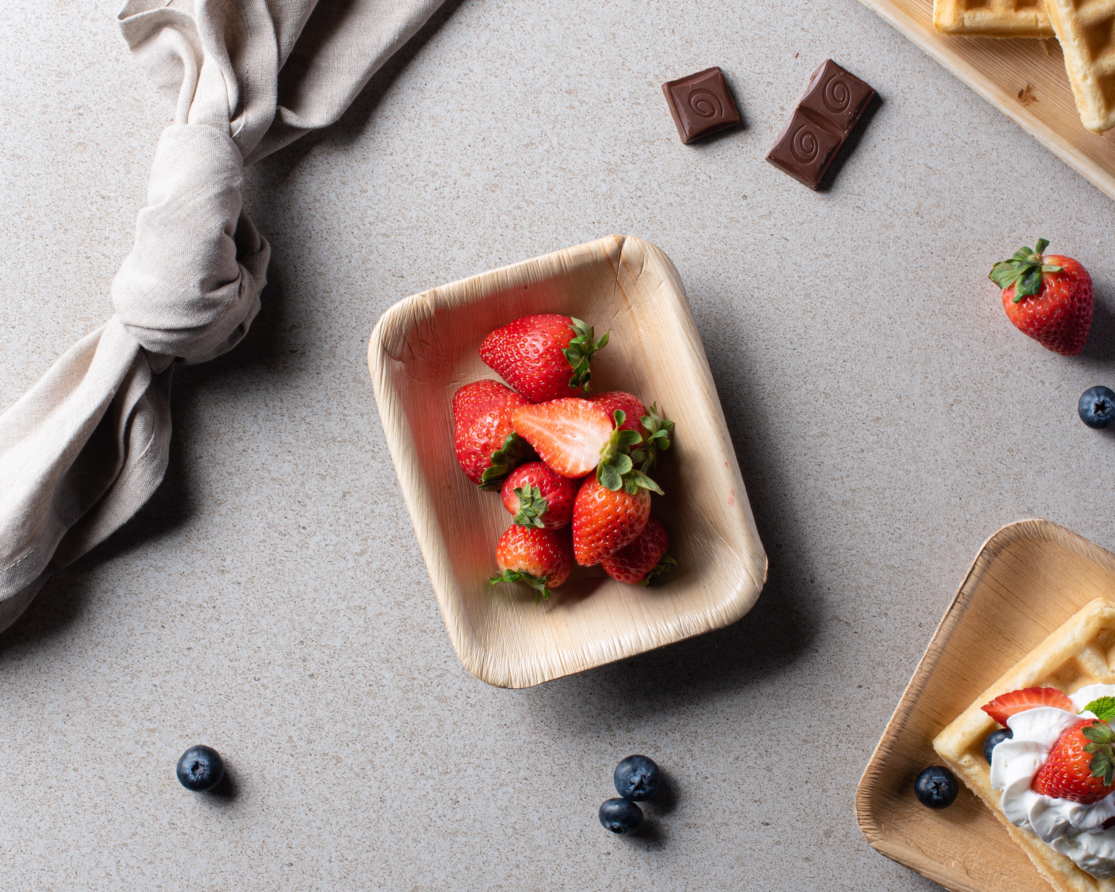 Eco-Friendly 100% Natural Disposable Palm Leaf Plates - 10 Pack Biodegradable Compostable Rectangle Dinnerware for Parties, Picnics & Outdoor Events