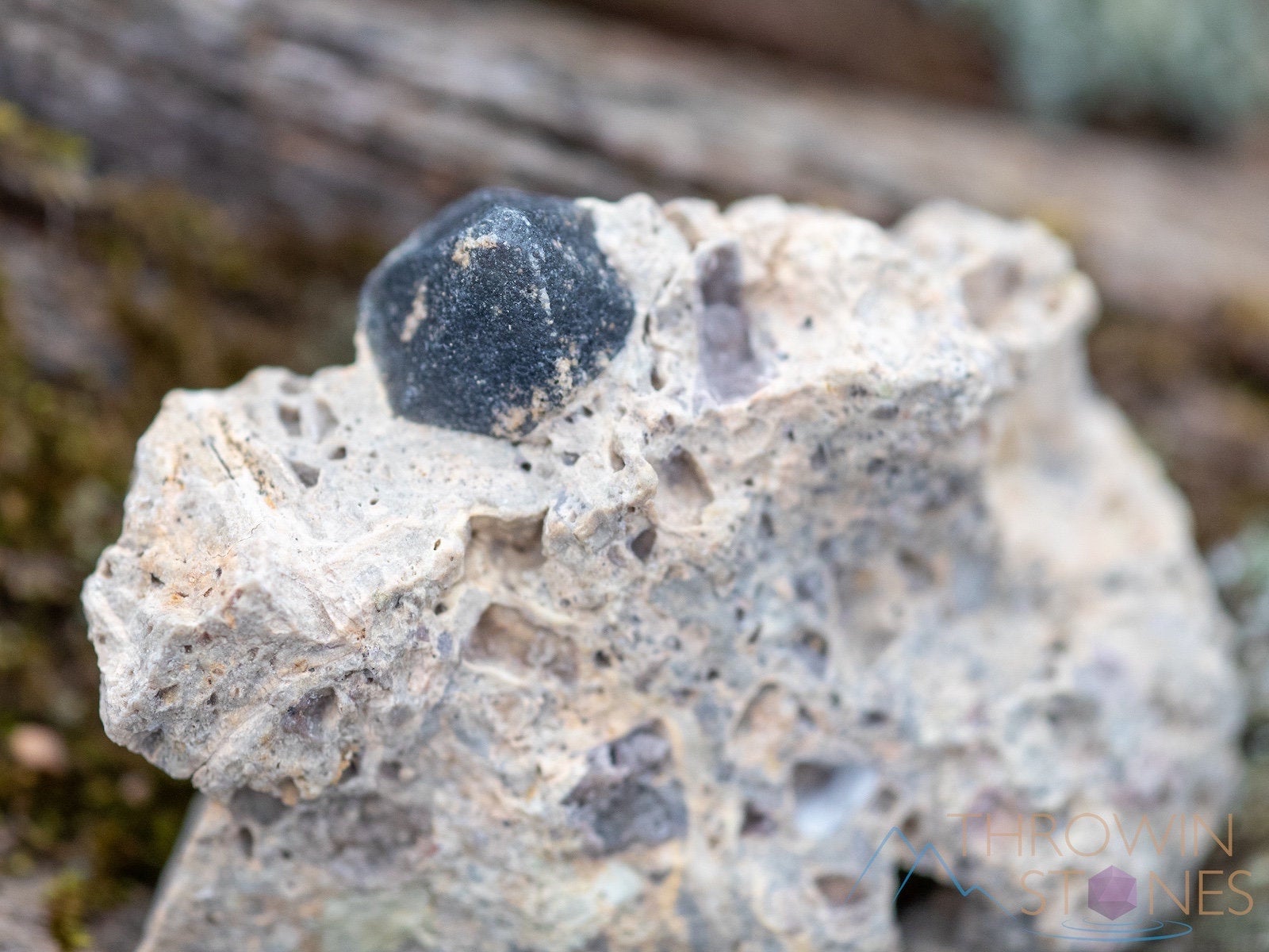Natural MORION QUARTZ Raw Crystal - Healing Stone for Home Decor, Housewarming Gift & Spiritual Healing | Perfect for Meditation, Feng Shui & Positive Energy