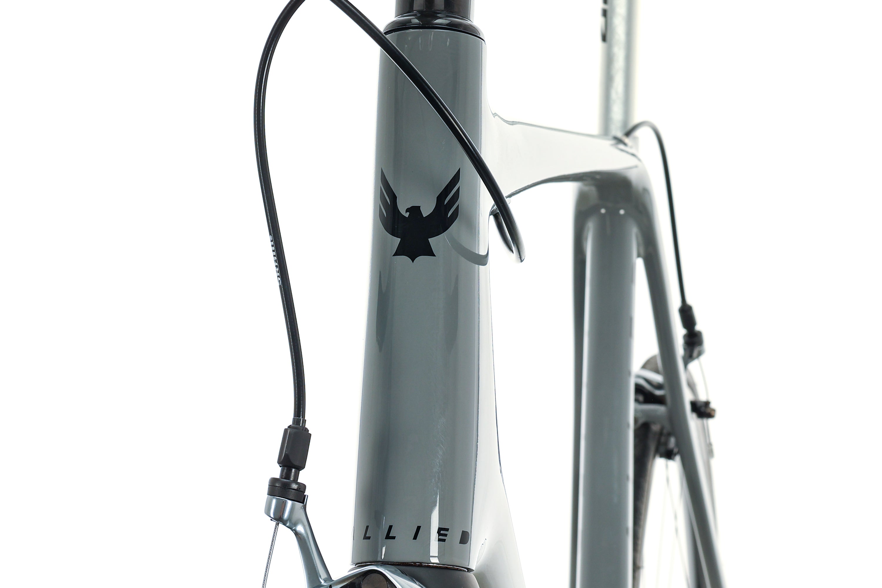 2020 Allied Alfa SRAM Red AXS Road Bike - 61+cm Size | High-Performance Carbon Frame | Lightweight & Fast | Perfect for Racing, Endurance & Long-Distance Cycling