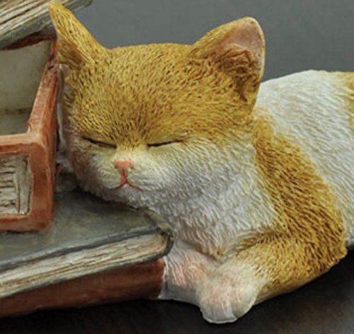 Adorable Fairy Garden Sleeping Kitten with Mini Books - Perfect for Fairy Garden Decor, Miniature Scenes & DIY Craft Projects