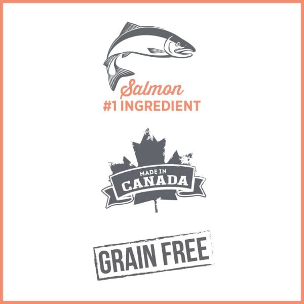 Nutrience Care+ Sensitive Skin & Stomach Canned Cat Food - Grain-Free, Digestive Support for Cats with Allergies - Perfect for Indoor & Outdoor Cats with Sensitive Needs