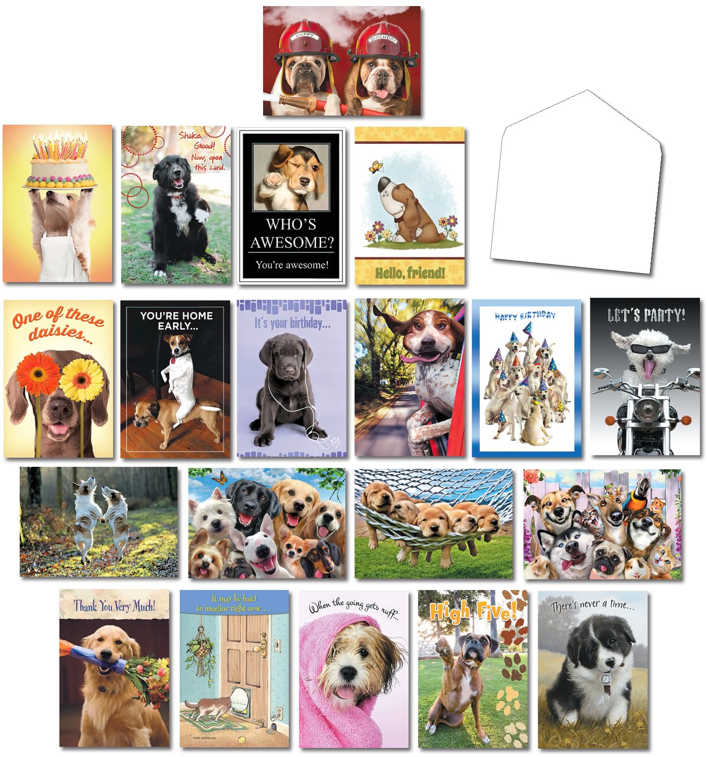 Leanin' Tree It's A Dog's World Greeting Cards Assortment Box - 20 All Occasion Cards with 22 Envelopes | Perfect for Birthdays, Thank You Notes & Pet Lovers