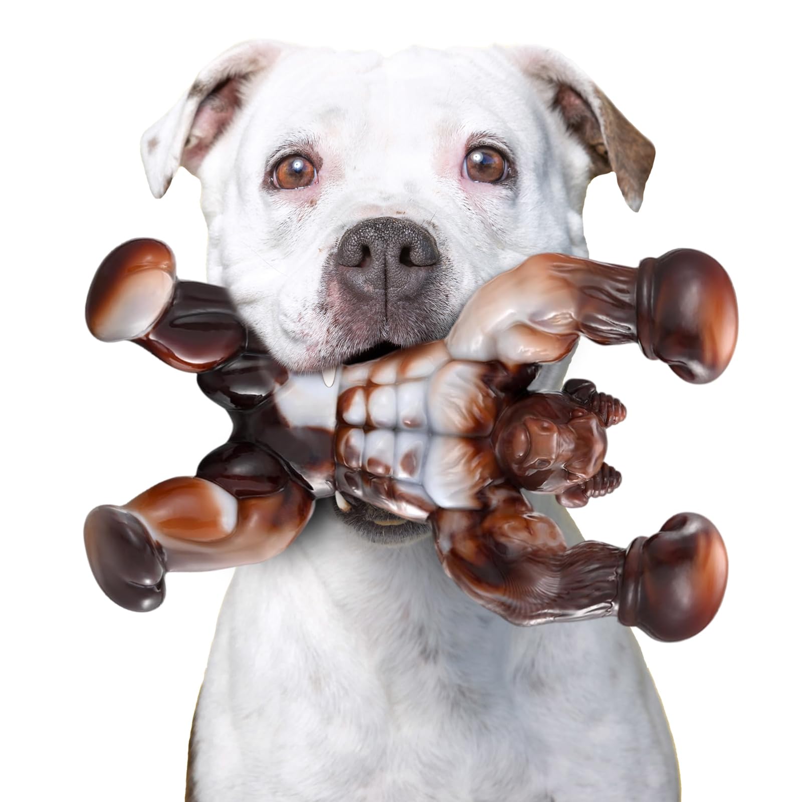 Zinbo Indestructible Dog Chew Toys for Aggressive Chewers - Durable Nylon Bone Toy with Real Bacon Flavor for Medium/Large Breed Dogs (Large Size, Beef Flavor) - Perfect for Training, Teething Relief & Playtime