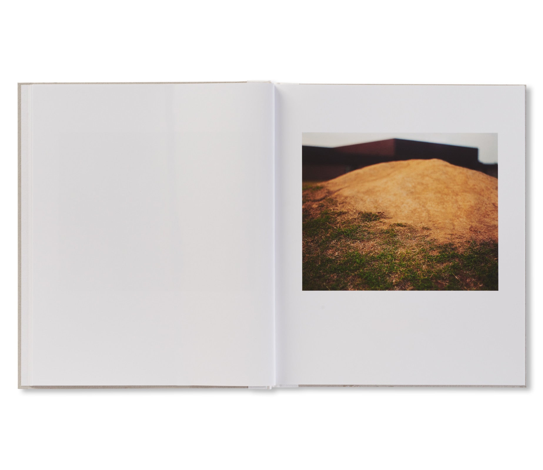 Nausea by Ron Jude - Contemporary Art Photography Book for Collectors - Perfect for Home Decor, Gallery Displays & Art Enthusiasts