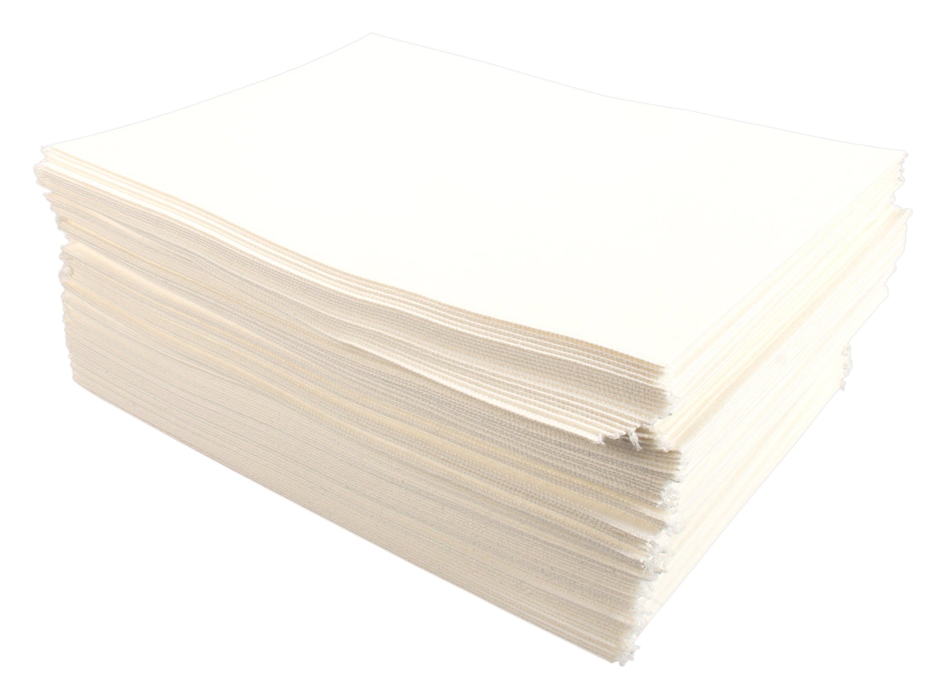 Pitco A6667103 Commercial Deep Fryer Filter - High-Quality Replacement for Restaurant & Kitchen Use - Perfect for Fast Food, Catering & Home Cooking