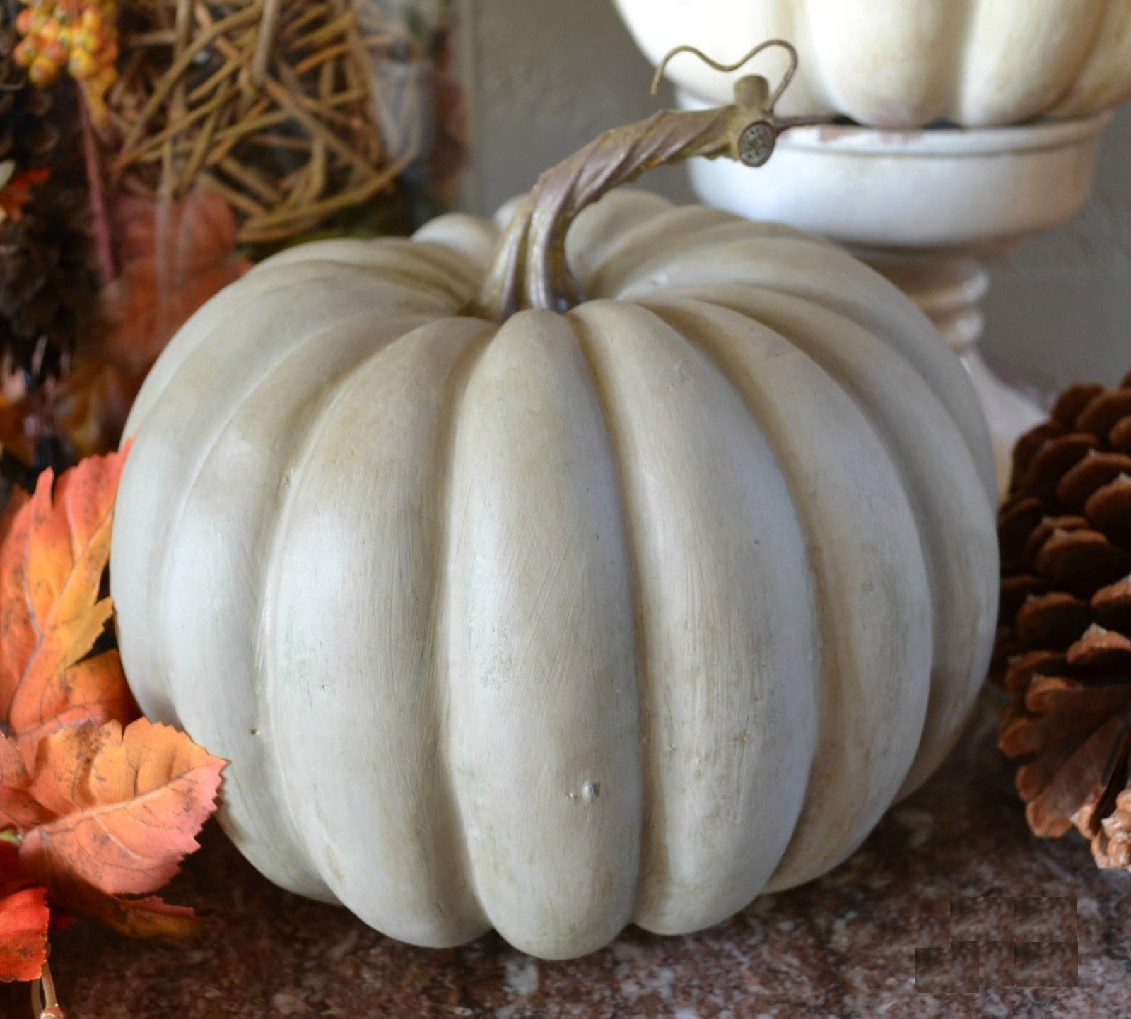 Blue Pumpkin Queensland Giant Seeds - Non-GMO Heirloom Vegetable for Halloween Decor & Rare Ornamental Gardening | Perfect for Fall Harvest, Holiday Displays & Unique Garden Landscapes