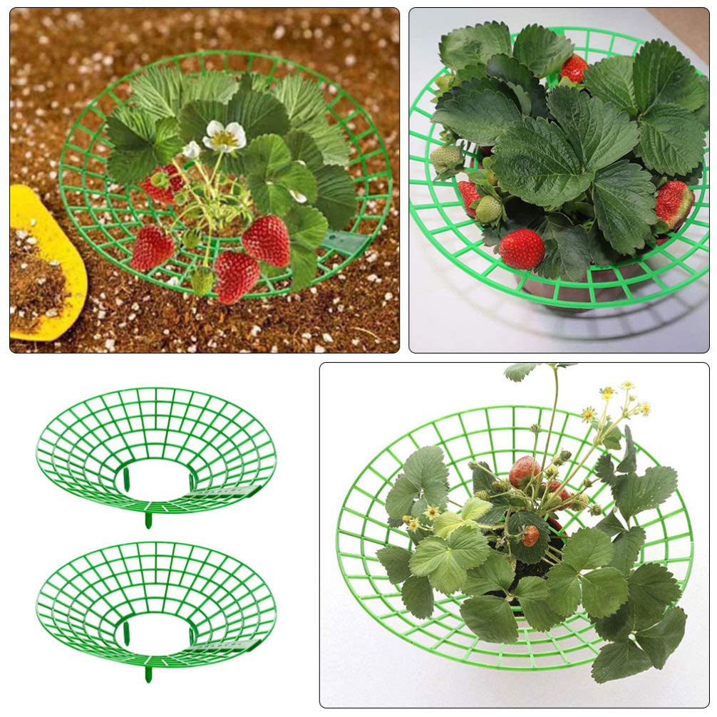 Happyyami 2-Pack Garden Strawberry Plant Supports - Sturdy Climbing Rack for Outdoor Strawberry Plants, Gardening Supplies for Vertical Growth | Perfect for Backyard Gardens, Patio Planters & Raised Beds