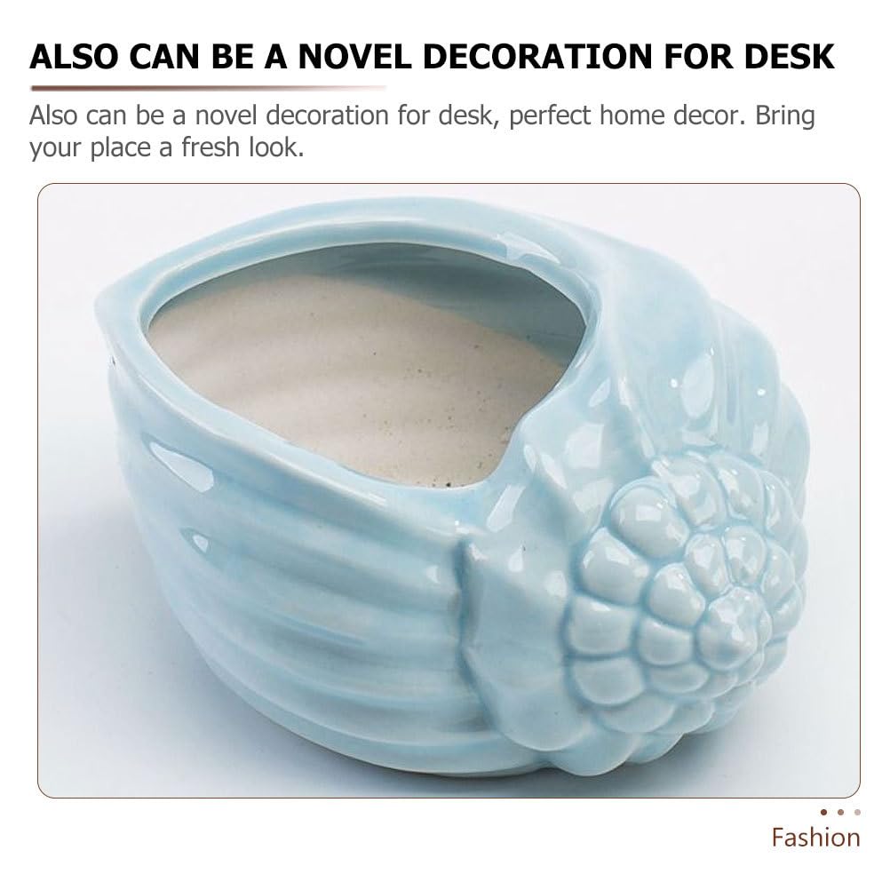 Mediterranean Style Ceramic Conch Planter - Shell Shaped Flower Pot for Bonsai, Succulents & Hydroponic Plants | Perfect for Home, Office & Garden Decor | Desktop Plant Container with Drainage Hole