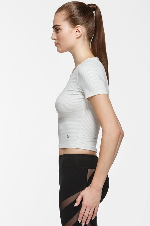 Premium Avery Short Sleeve T-Shirt for Men & Women - Soft Cotton Casual Tee - Perfect for Everyday Wear, Gym & Outdoor Activities