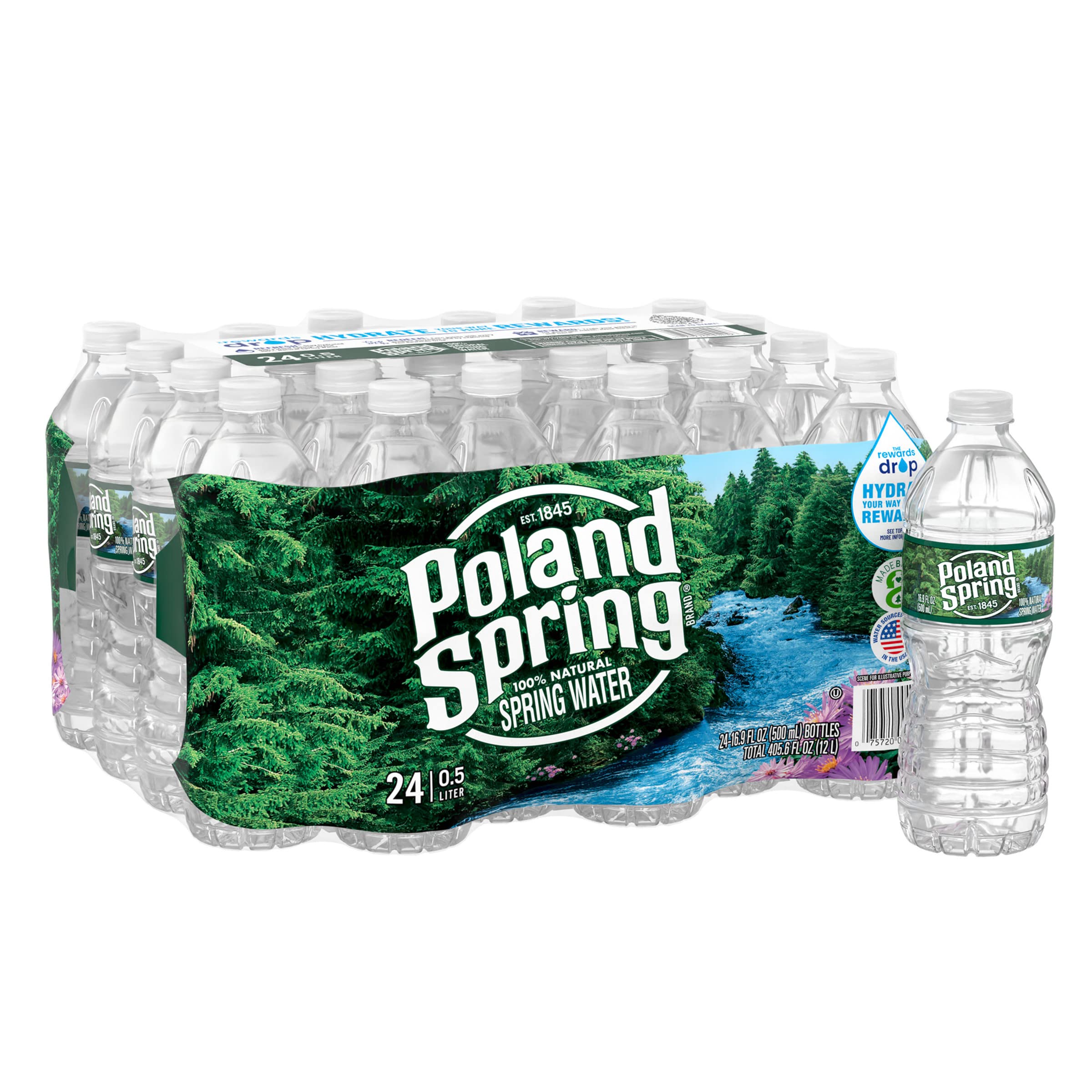 Poland Spring Maine Natural Spring Water Bottles, 24 Pack (16.9 Fl Oz) - Crisp Still Bottled Water with Balanced Minerals & Electrolytes | Perfect for Hydration, Office, Gym & Outdoor Activities