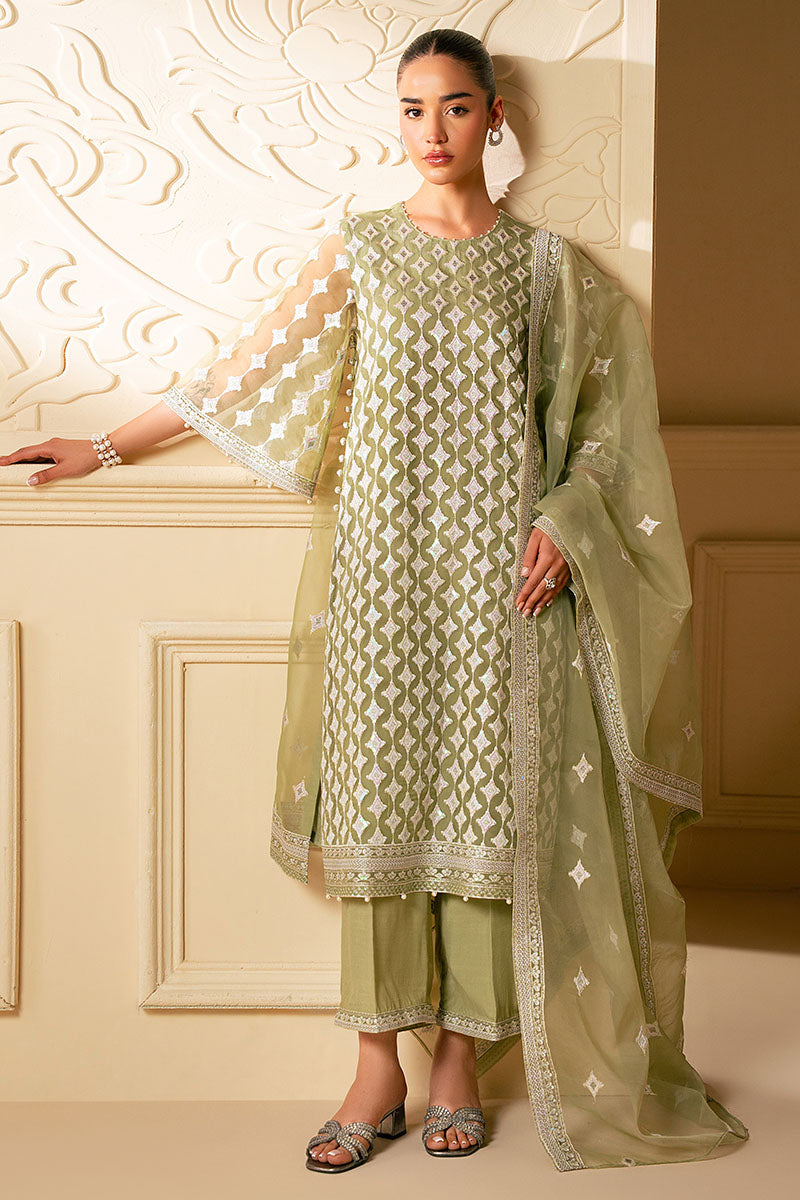 Elegant Minted Sage 4-Piece Embroidered Organza Suit Set for Women – Perfect for Weddings, Parties & Special Occasions