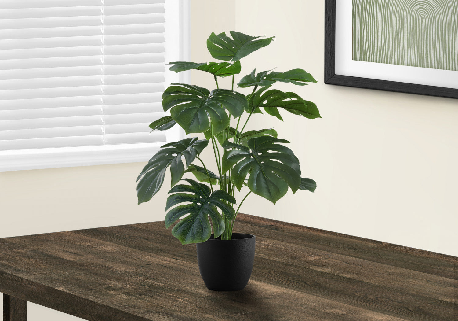 24 Inch Monstera Deliciosa Swiss Cheese Plant with 5 Black Nursery Pots - Indoor Tropical Houseplant for Home Office Decor, Living Room & Bedroom Greenery