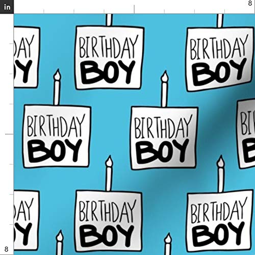 Premium Spoonflower Printed Minky Fabric - Birthday Boy Blue Celebration Cake Candle Design - Soft Plush Fat Quarter for Baby Blankets, Quilt Backing & Sewing Projects | Perfect for Nursery Decor, DIY Gifts & Party Decorations
