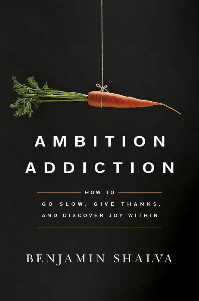 Ambition Addiction: How to Slow Down, Practice Gratitude & Find Inner Happiness | Self-Help Book for Personal Growth & Mindfulness