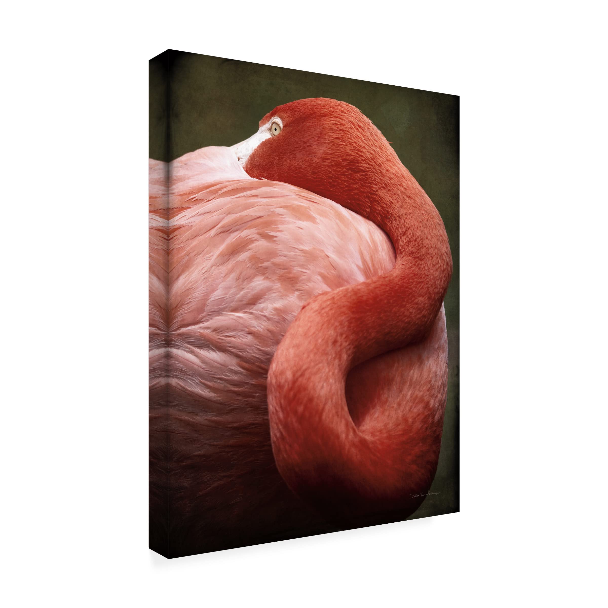 Trademark Fine Art 'Caribbean Flamingo I' Canvas Wall Art by Debra Van Swearingen - Tropical Home Decor for Living Room, Bedroom & Office