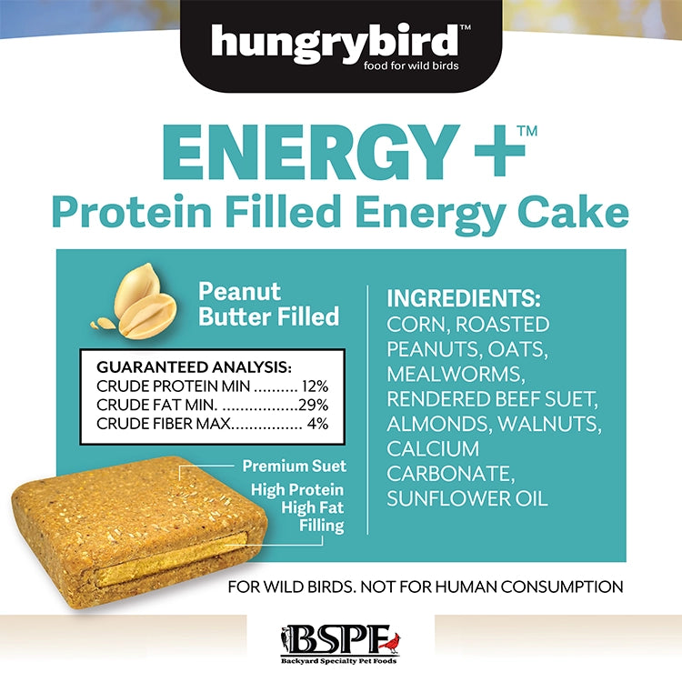 Energy+ Suet Cakes with Peanut Butter Filling - High Protein Wild Bird Food, 12 Pack - Attract Woodpeckers, Bluebirds & Backyard Birds - Perfect for Winter Feeding & Bird Watching
