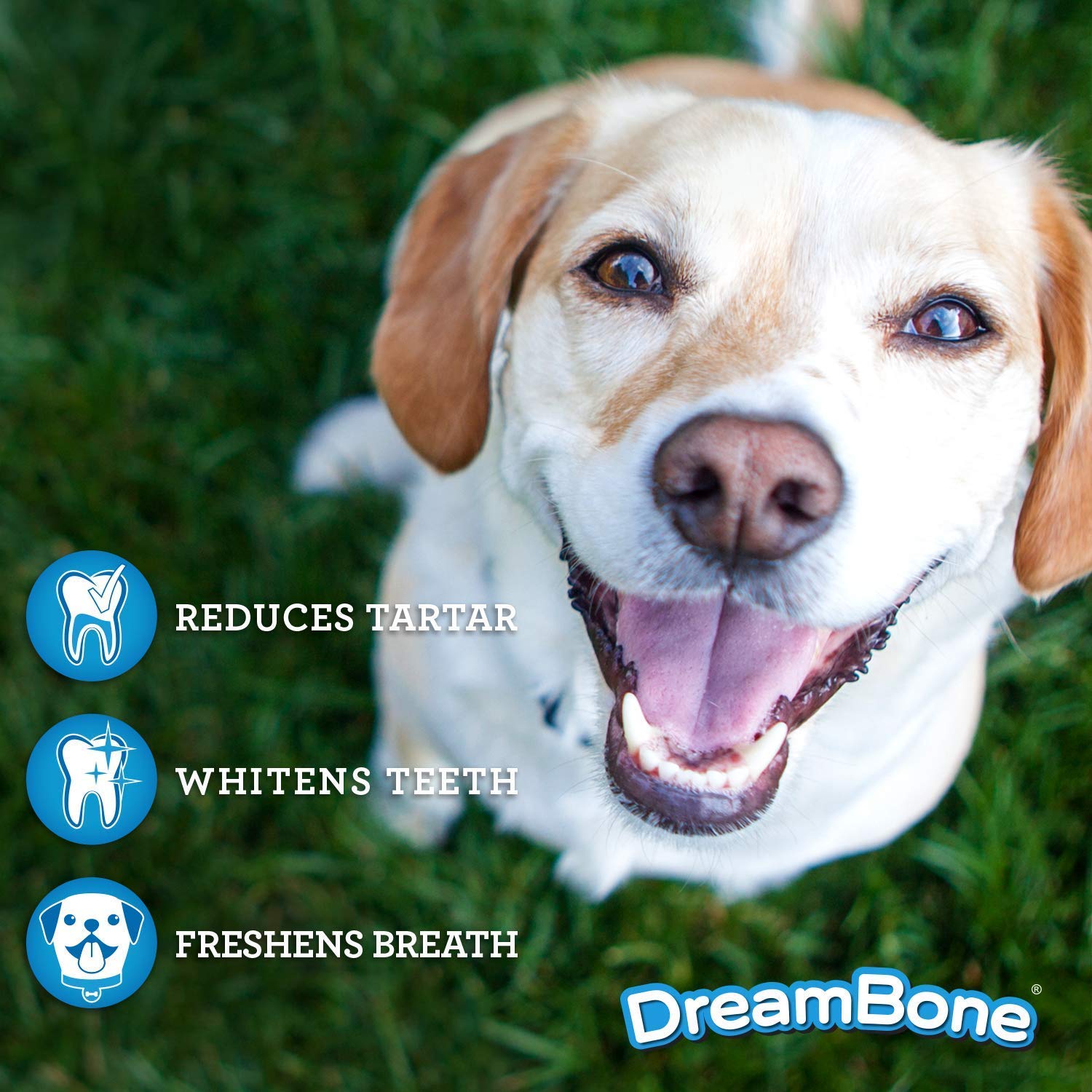 DreamBone Dental Chews for Dogs - Rawhide-Free Dog Chews for Fresh Breath & Teeth Cleaning - Healthy Dog Treats for Dental Care & Chewing Fun - Perfect for Puppies & Adult Dogs at Home or Travel