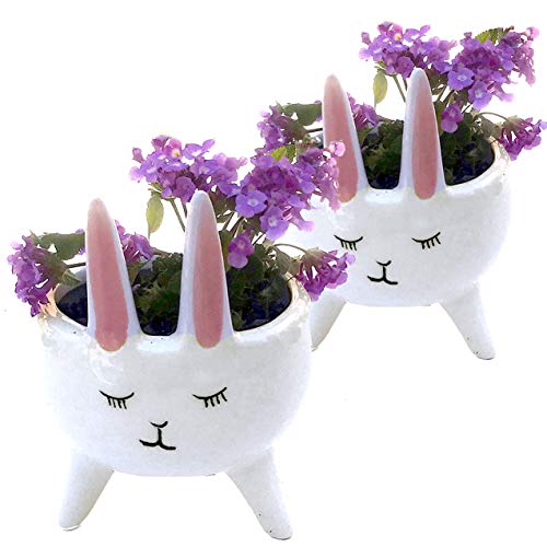White Bunny Mini