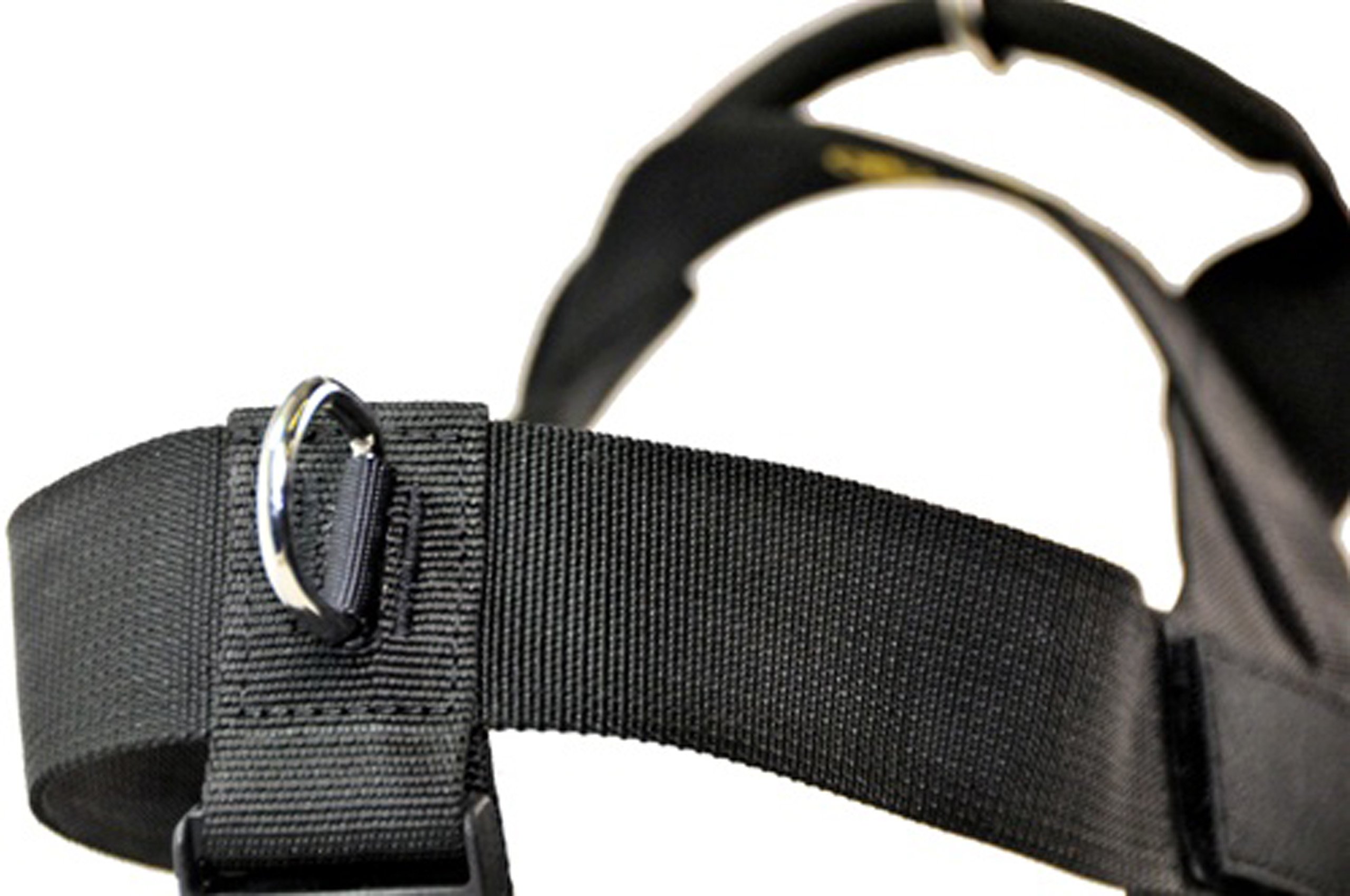DT No Pull Dog Harness for Small Dogs - Adjustable Police K9 Vest Harness (Black) - Fits 24 to 27 Inch Chest - Perfect for Training, Walking & Outdoor Adventures