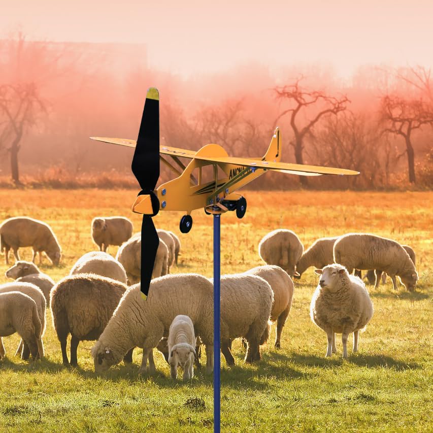 Airplane Wind Vane for Yard & Garden - Decorative Weathervane for Sheds, Cupolas & House Posts | Perfect for Outdoor Decor & Aviation Enthusiasts